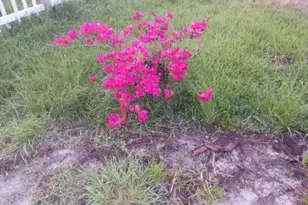16960 Wildcat Dr, Fort Myers, FL 33913 - Photo 27