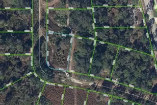 108 Chandler Ter NE, Lake Placid, FL 33852 - Photo 1