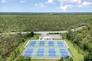 2135 Pigeon Plum Way, North Fort Myers, FL 33917 - Photo 39