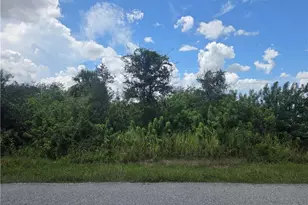 2011 Xelda Ave N, Lehigh Acres, FL 33971 - Photo 1
