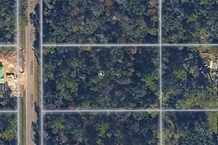 10230 Turpin Ave, Hastings, FL 32145 - Photo 1