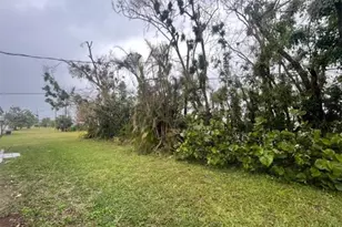 335 Tarpon Dr, Cape Coral, FL 33904 - Photo 19
