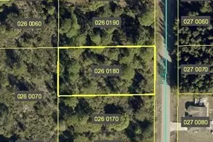 1411 Pine Ave, Lehigh Acres, FL 33972 - Photo 1