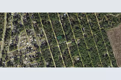 00-00-035-008-07417-000 Choctaw Rd, Crawfordville, FL 32327 - Photo 3
