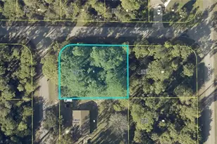 305 Loire Ave S, Lehigh Acres, FL 33974 - Photo 1