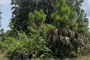 2508 51st St W, Lehigh Acres, FL 33971 - Photo 1
