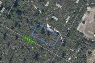 1424 Doolittle St, Lake Placid, FL 33852 - Photo 1