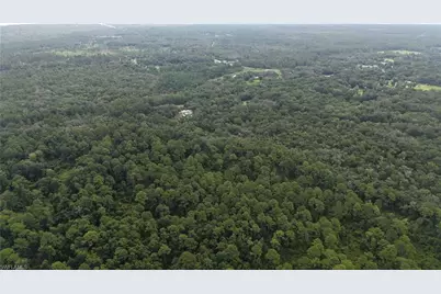 [Address not provided], Satsuma, FL 32189 - Photo 15