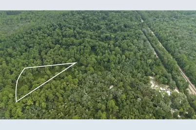 [Address not provided], Satsuma, FL 32189 - Photo 25