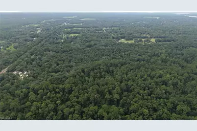 [Address not provided], Satsuma, FL 32189 - Photo 11