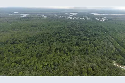 [Address not provided], Satsuma, FL 32189 - Photo 3