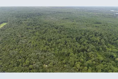 [Address not provided], Satsuma, FL 32189 - Photo 7