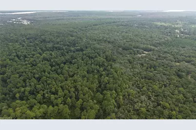 [Address not provided], Satsuma, FL 32189 - Photo 17