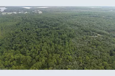 [Address not provided], Satsuma, FL 32189 - Photo 19