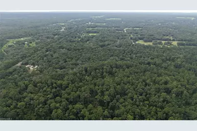 [Address not provided], Satsuma, FL 32189 - Photo 9