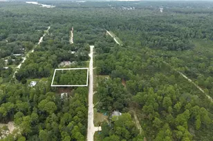 119 Fox Den, Satsuma, FL 32189 - Photo 1