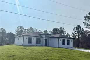 843 Andover Ave S, Lehigh Acres, FL 33974 - Photo 3