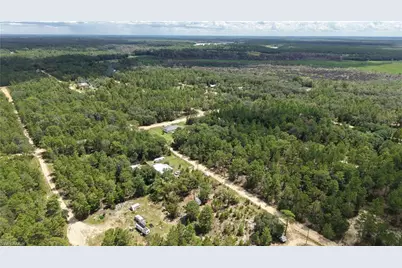 307 Himalayan St, Interlachen, FL 32148 - Photo 3