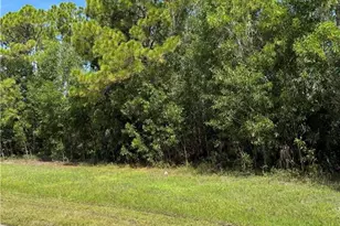3911 NW 45th St, Cape Coral, FL 33993 - Photo 1