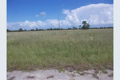 34 Cockatiel Way, Placida, FL 33946 - Photo 3