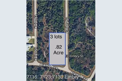 7133 Embry St, Port Charlotte, FL 33981 - Photo 5