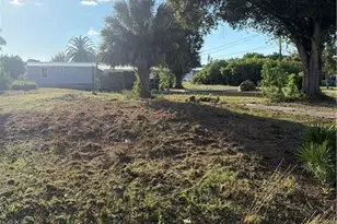 15555 Mango Dr, Punta Gorda, FL 33955 - Photo 1