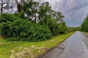 303 Johanna Ave, Lehigh Acres, FL 33972 - Photo 1