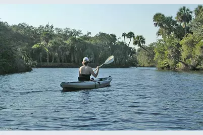 12625 Fairway Cove Ct, Fort Myers, FL 33905 - Photo 37