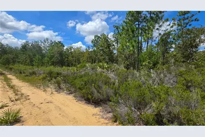 416 Trenton St St, Interlachen, FL 32148 - Photo 23