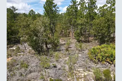 416 Trenton St St, Interlachen, FL 32148 - Photo 27