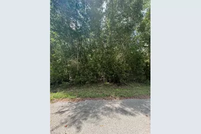 411 Grant Ave, Lehigh Acres, FL 33972 - Photo 1