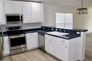 9729 Pineapple Preserve Ct, Fort Myers, FL 33908 - Photo 5