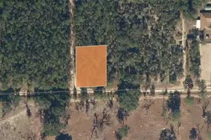 22-10-24-7950-0090-0090 Lake Shore Dr, Interlachen, FL 32148 - Photo 1