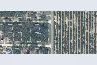 2701 W Gaffney Rd, Avon Park, FL 33825 - Photo 1