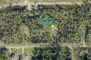 1905 Ney Ct, Lehigh Acres, FL 33972 - Photo 1