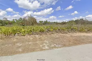 1111 Rachel St E, Lehigh Acres, FL 33974 - Photo 1