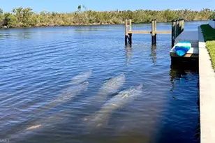 2939 SW 28th Ln, Cape Coral, FL 33914 - Photo 55