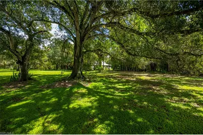 160 Curry St, Labelle, FL 33935 - Photo 17