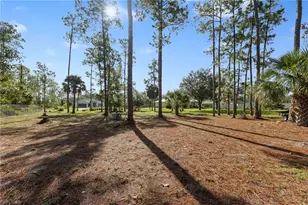 1111 Calvin Ave, Lehigh Acres, FL 33972 - Photo 45