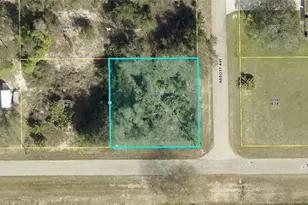 4307 20th St E, Alva, FL 33920 - Photo 1