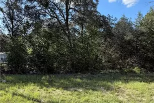 NE 106th Terrace, Williston, FL 32621 - Photo 1