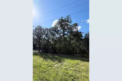 Ne 106th Ter, Williston, FL 32621 - Photo 3