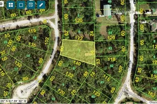 13330 La Faunce Dr, Punta Gorda, FL 33955 - Photo 1