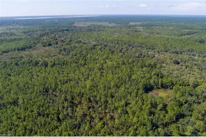 48559-39219 Gandy Rd, Mims, FL 32754 - Photo 7