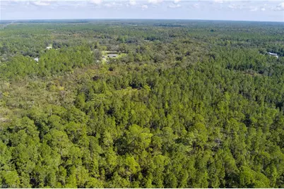 48559-39219 Gandy Rd, Mims, FL 32754 - Photo 15