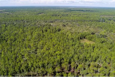 48559-39219 Gandy Rd, Mims, FL 32754 - Photo 25