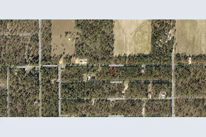 1814-022-016 NW Falcon Ave, Dunnellon, FL 34431 - Photo 3