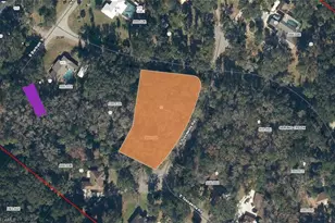 48-10-27-8690-0000-0150 Spring Creek Dr, San Mateo, FL 32187 - Photo 1