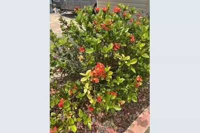 10268 Meadow Beauty Trl, Fort Myers, FL 33905 - Photo 25