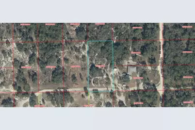 Ne 91st Pl, Bronson, FL 32621 - Photo 1